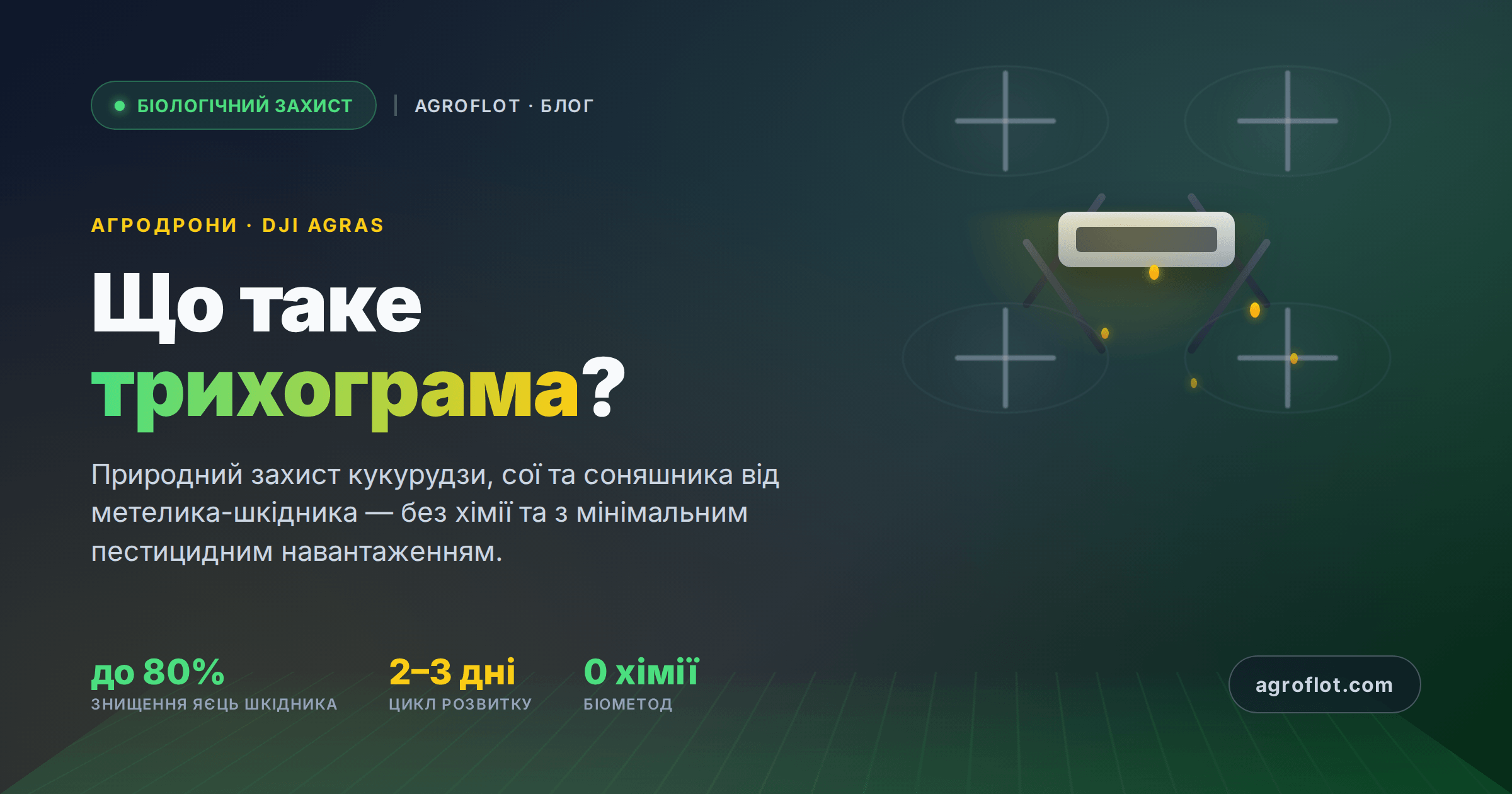 cover_tryhograma (1)